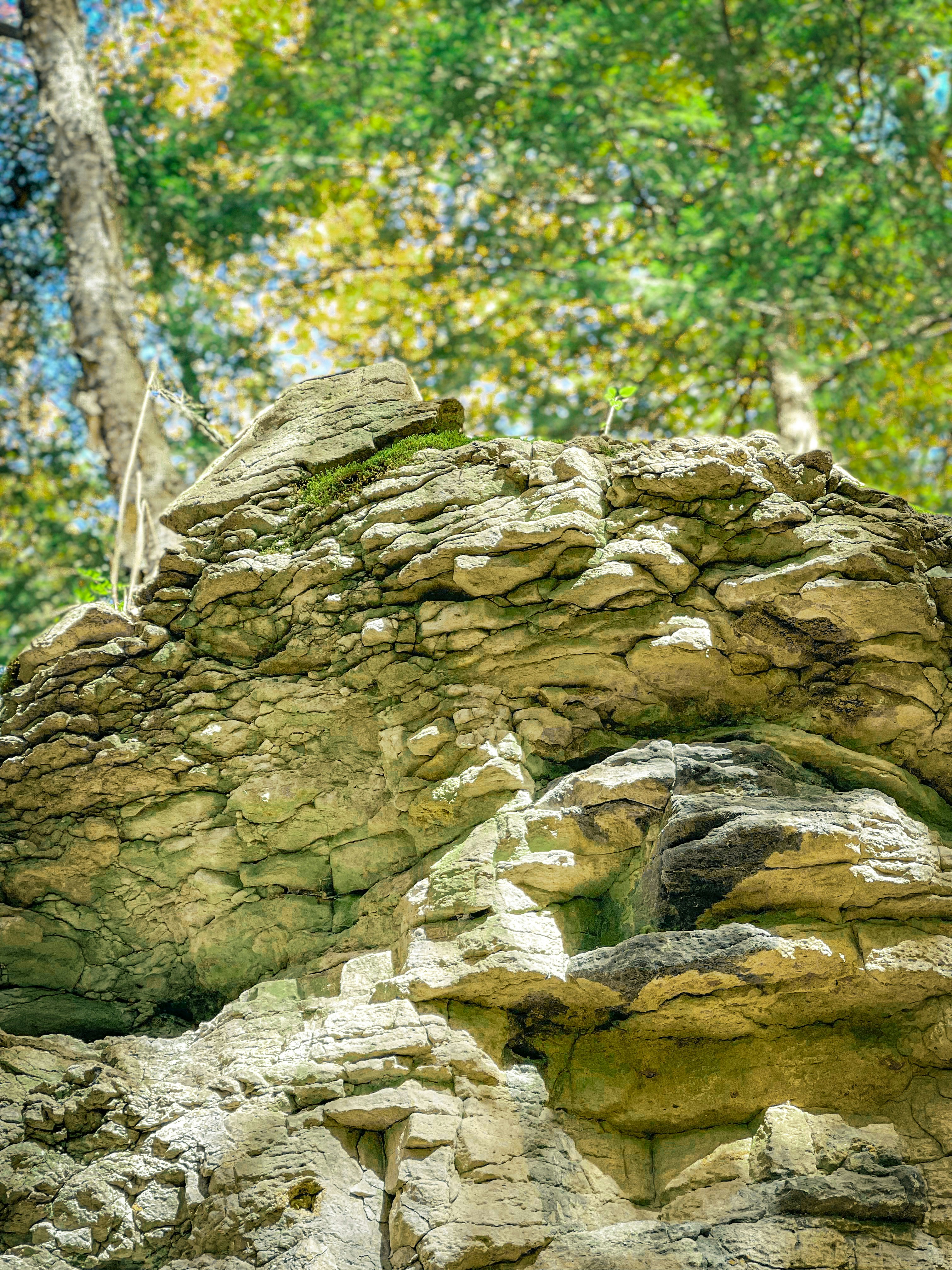 Photo by chris_thornton