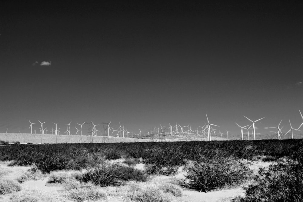 a field with wind turbines in the distance