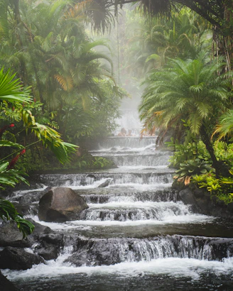 a waterfall in a tropical area