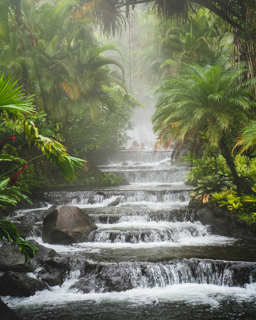 a waterfall in a tropical area