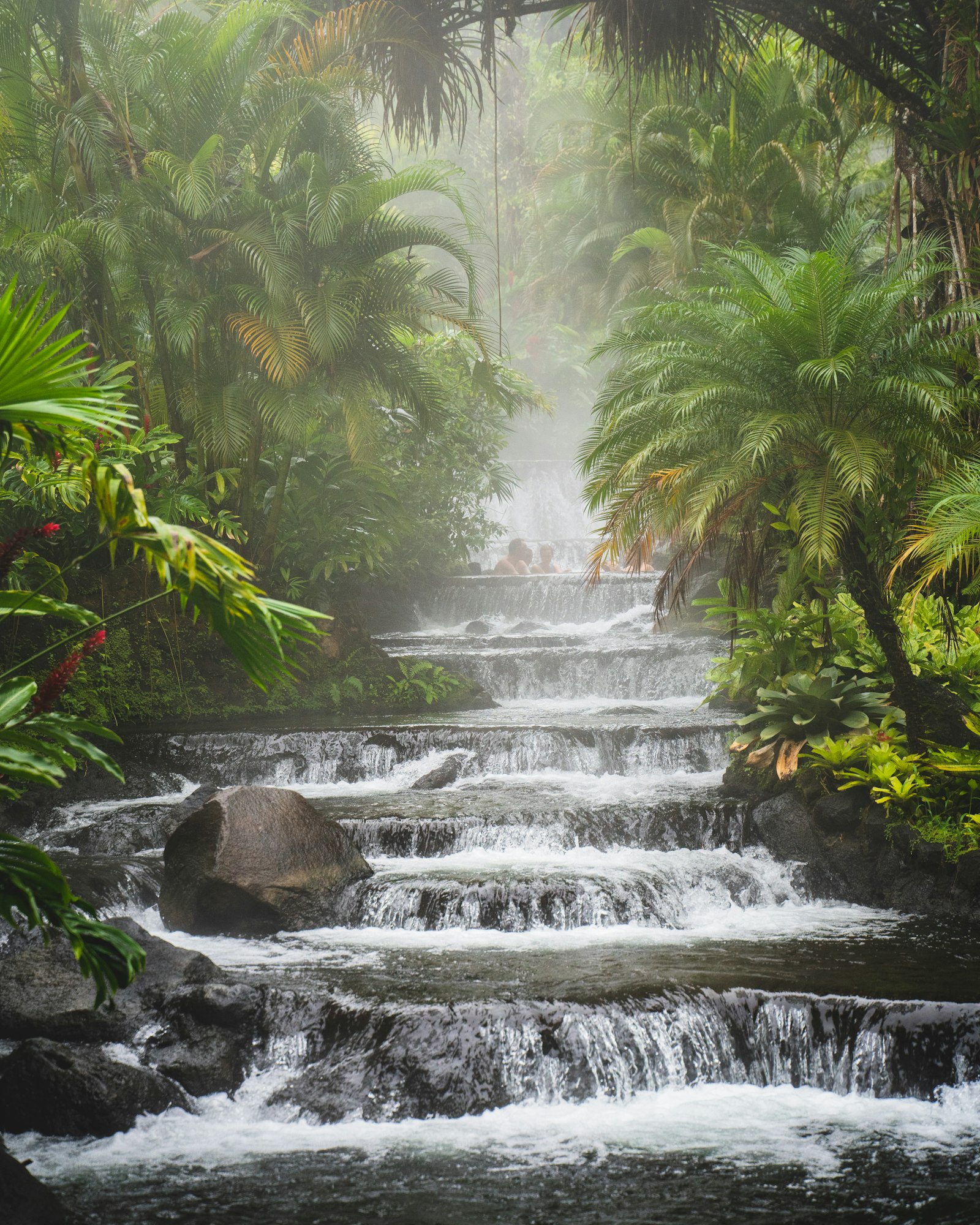 A misty cascade of warm pools through dense tropical jungle