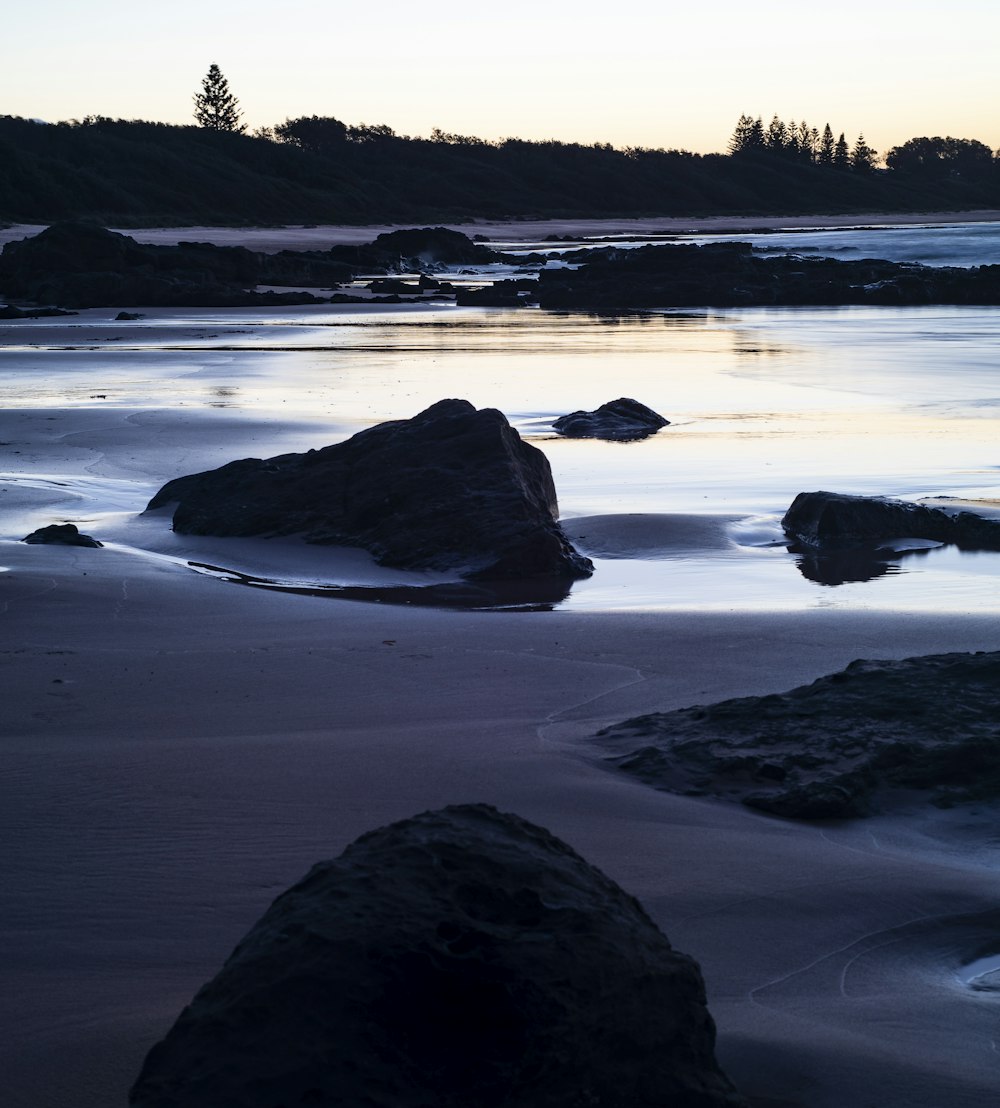 a rocky beach with trees in the background