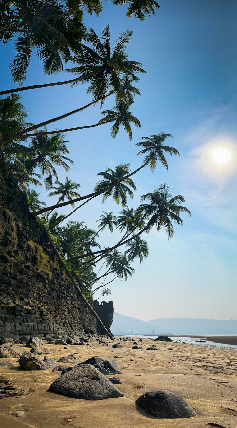 a beach with palm trees and a cliff