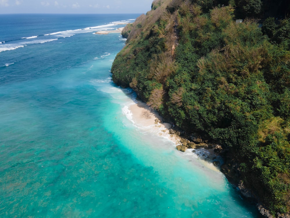 a beach with trees and a body of water