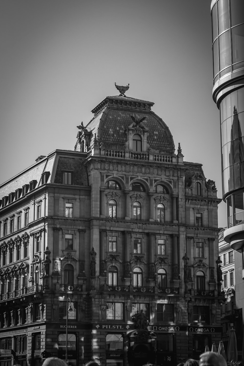 a bird on top of a building