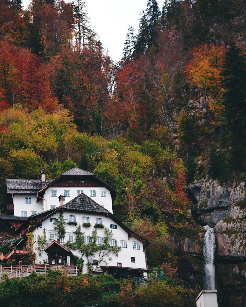 a house surrounded by trees