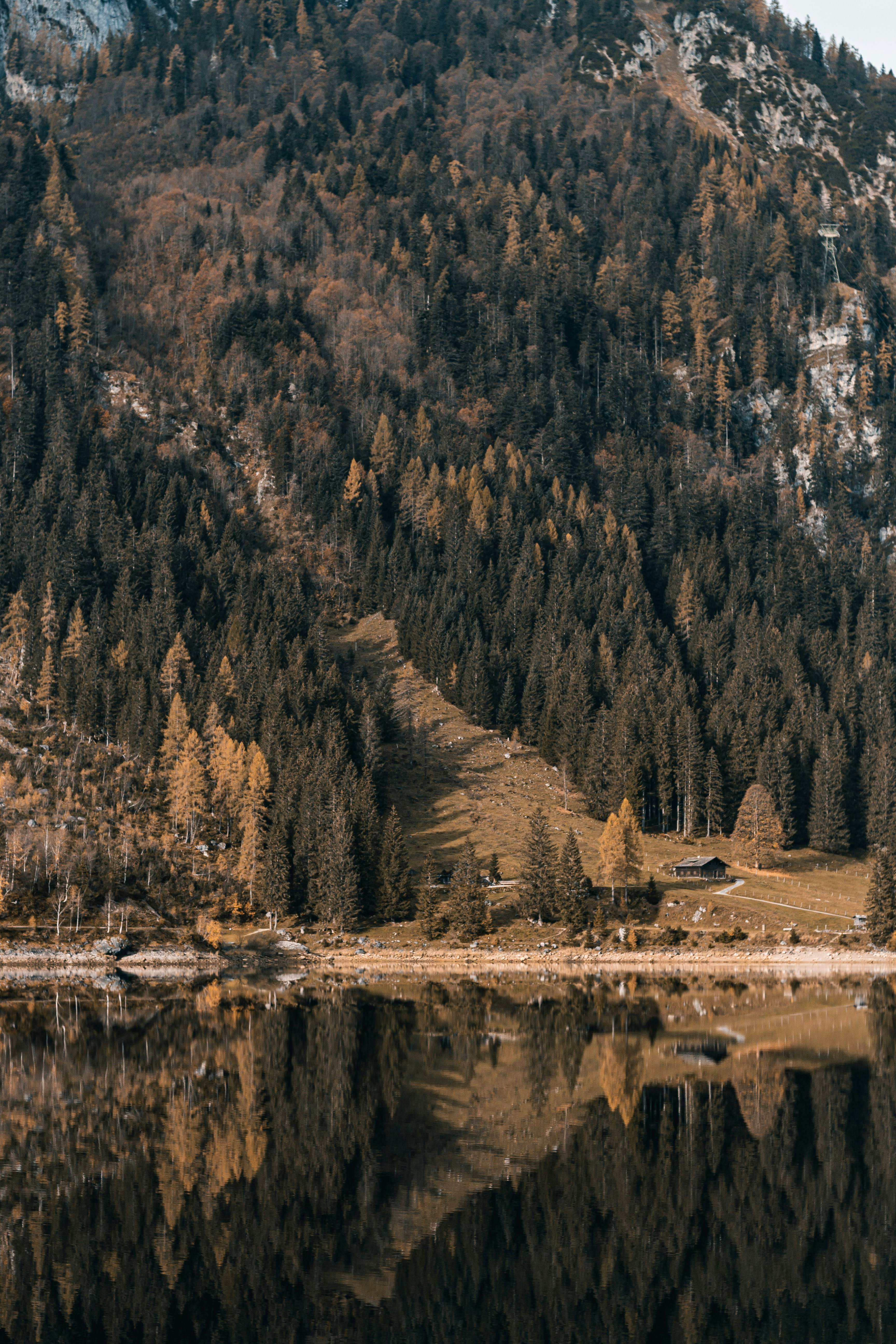 a lake with trees and mountains in the background