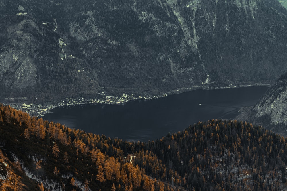 a lake surrounded by trees