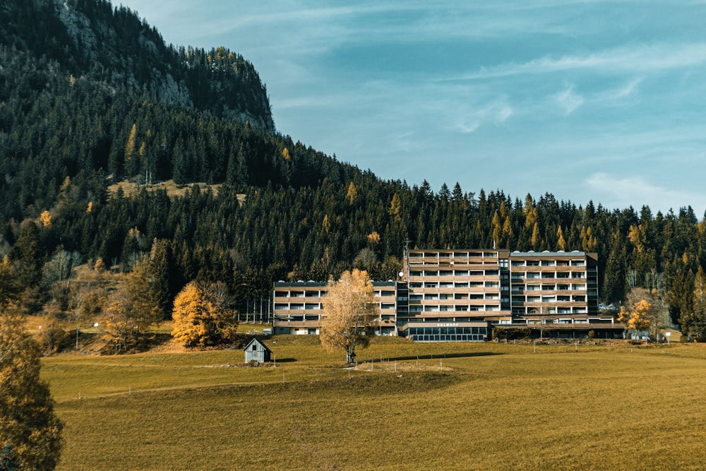 a building with trees in front of it and a hill in the back