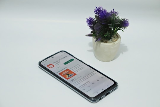 A smartphone displaying an app screen lays on a white surface next to a small potted plant with vibrant purple flowers.