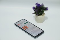 A smartphone displaying an app screen lays on a white surface next to a small potted plant with vibrant purple flowers.