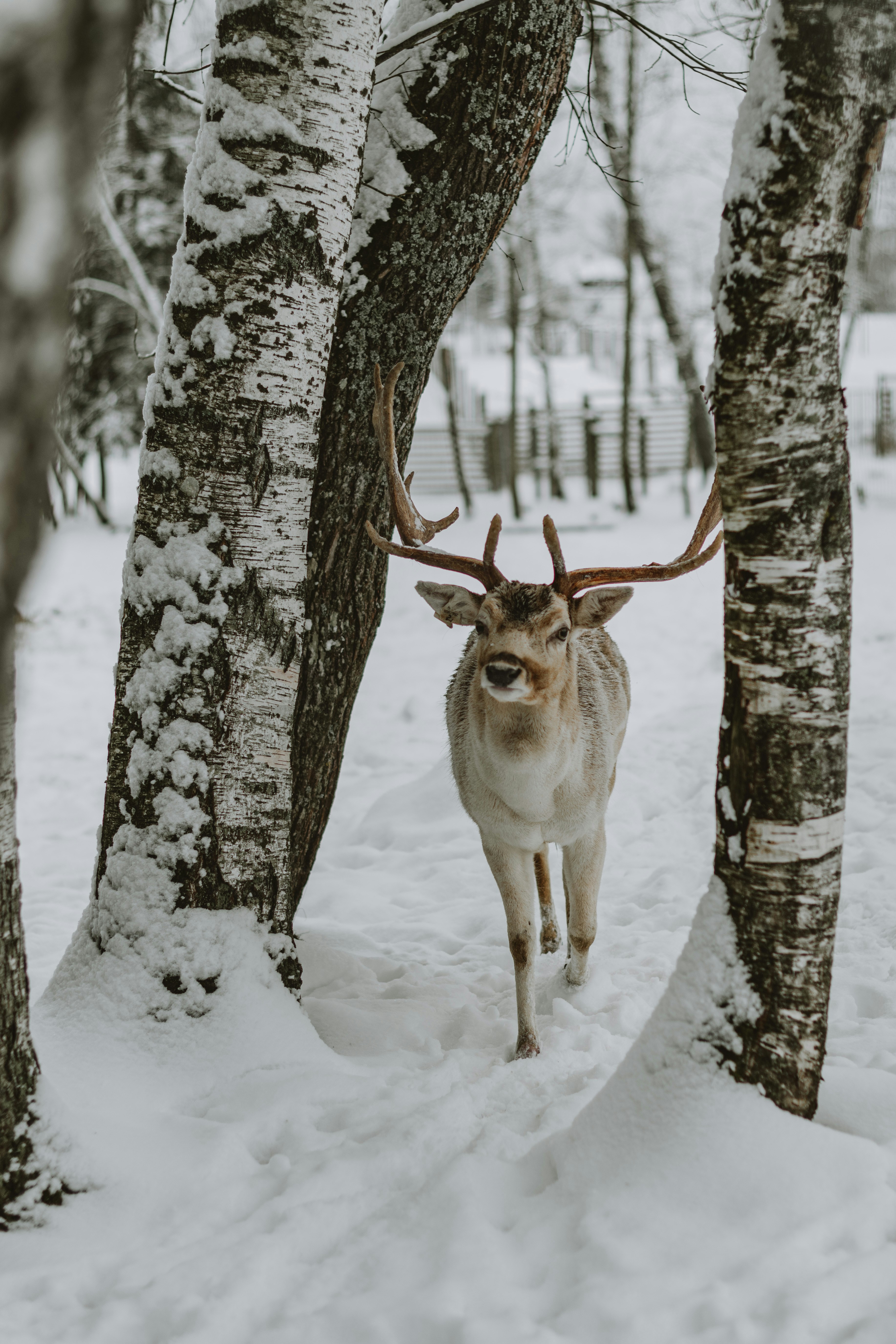 Photo by anitaaustvika