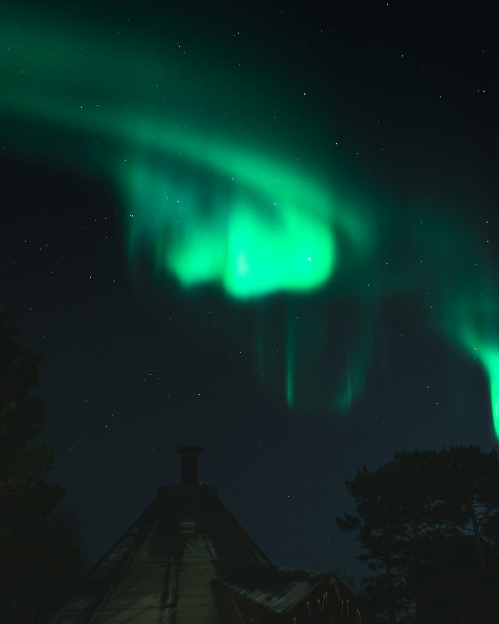 a house with green lights