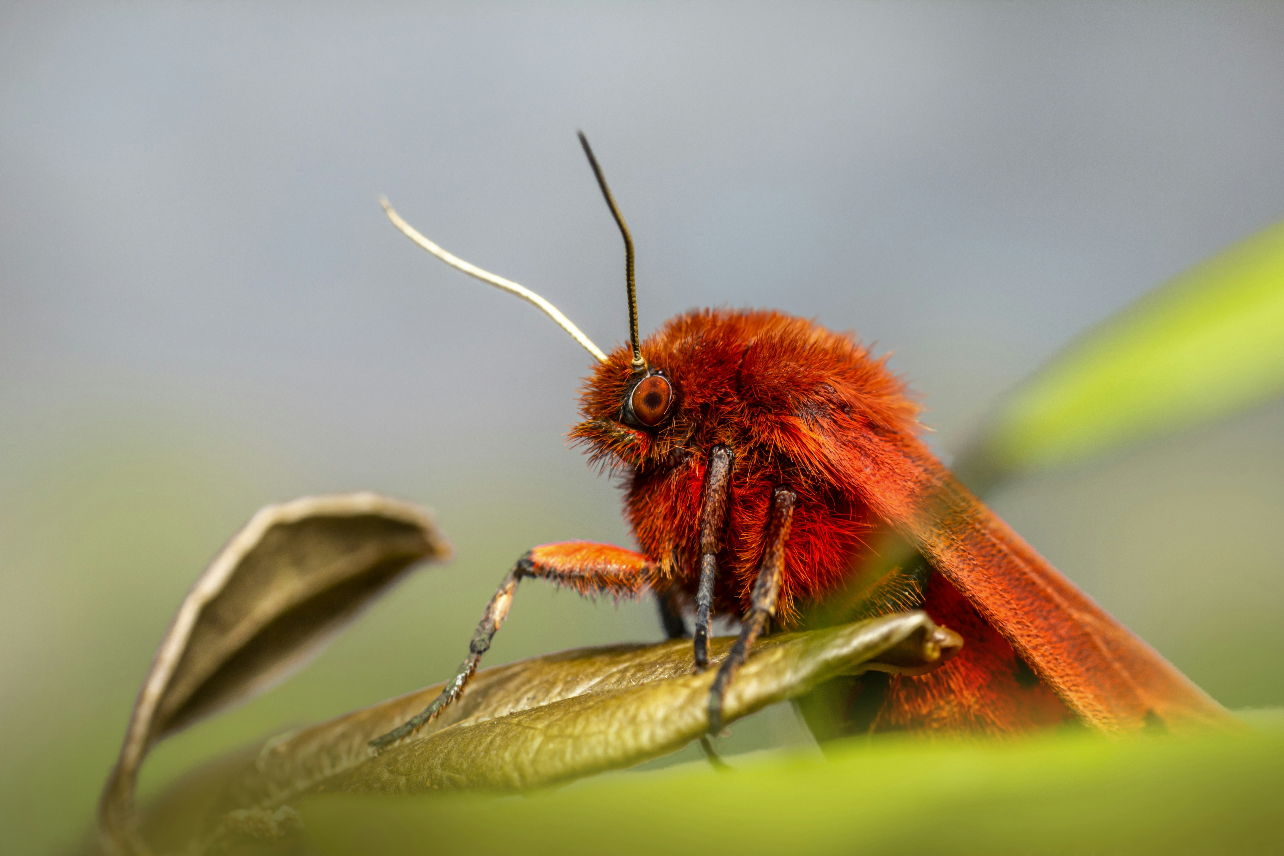 Photo by erik_karits