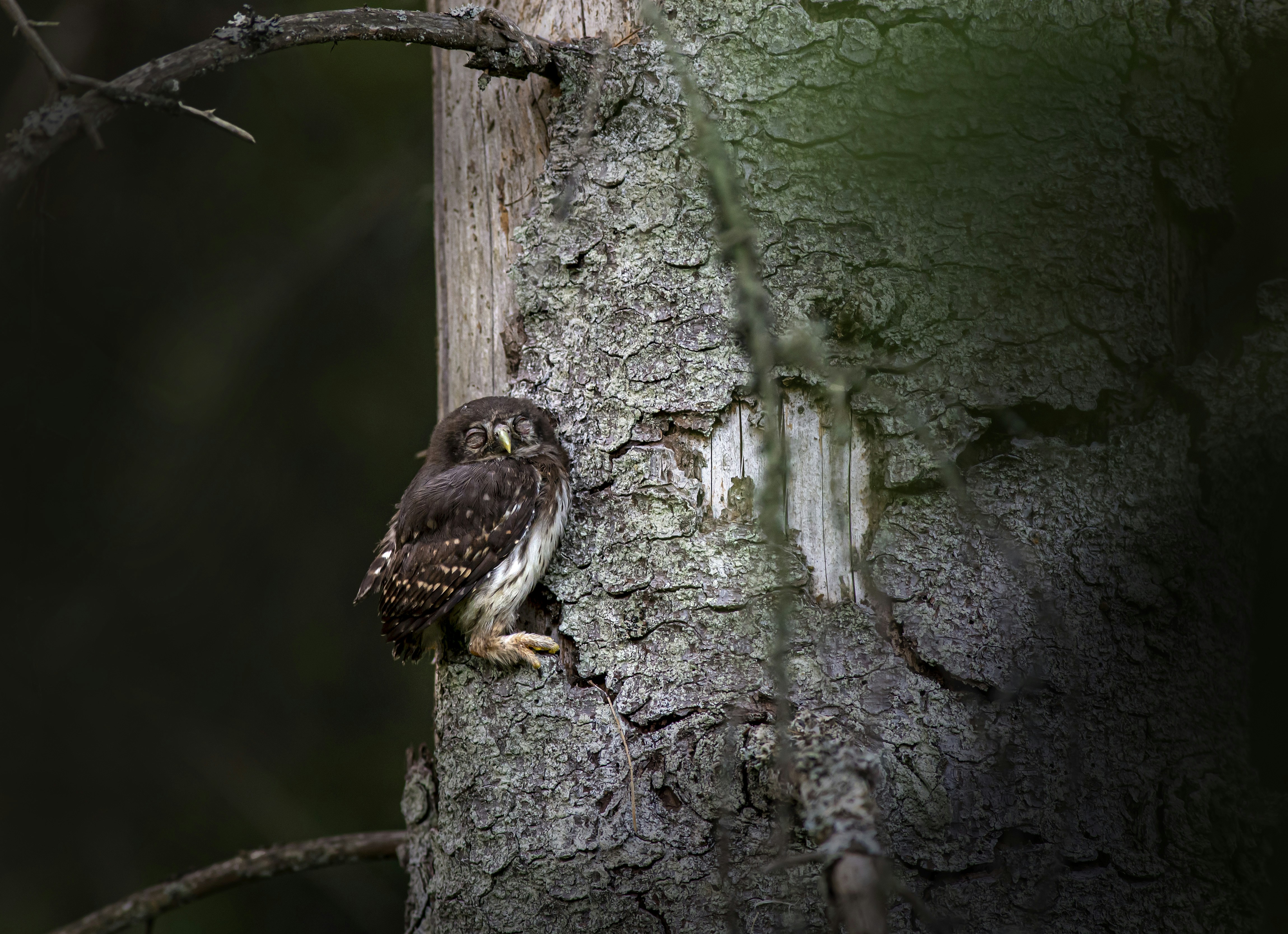 Photo by erik_karits