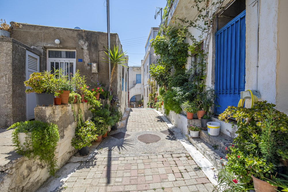 a stone path between buildings