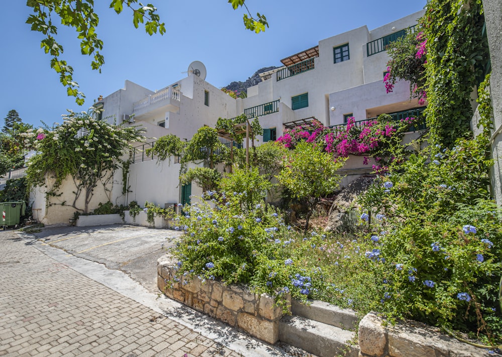 a stone path with plants and trees on the side