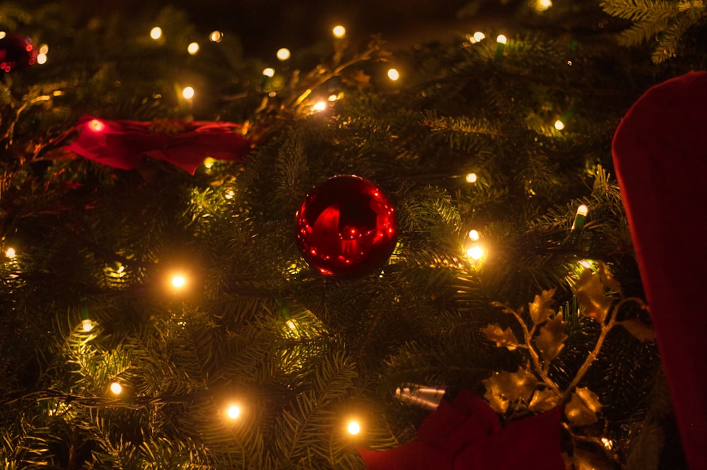 a christmas tree with lights