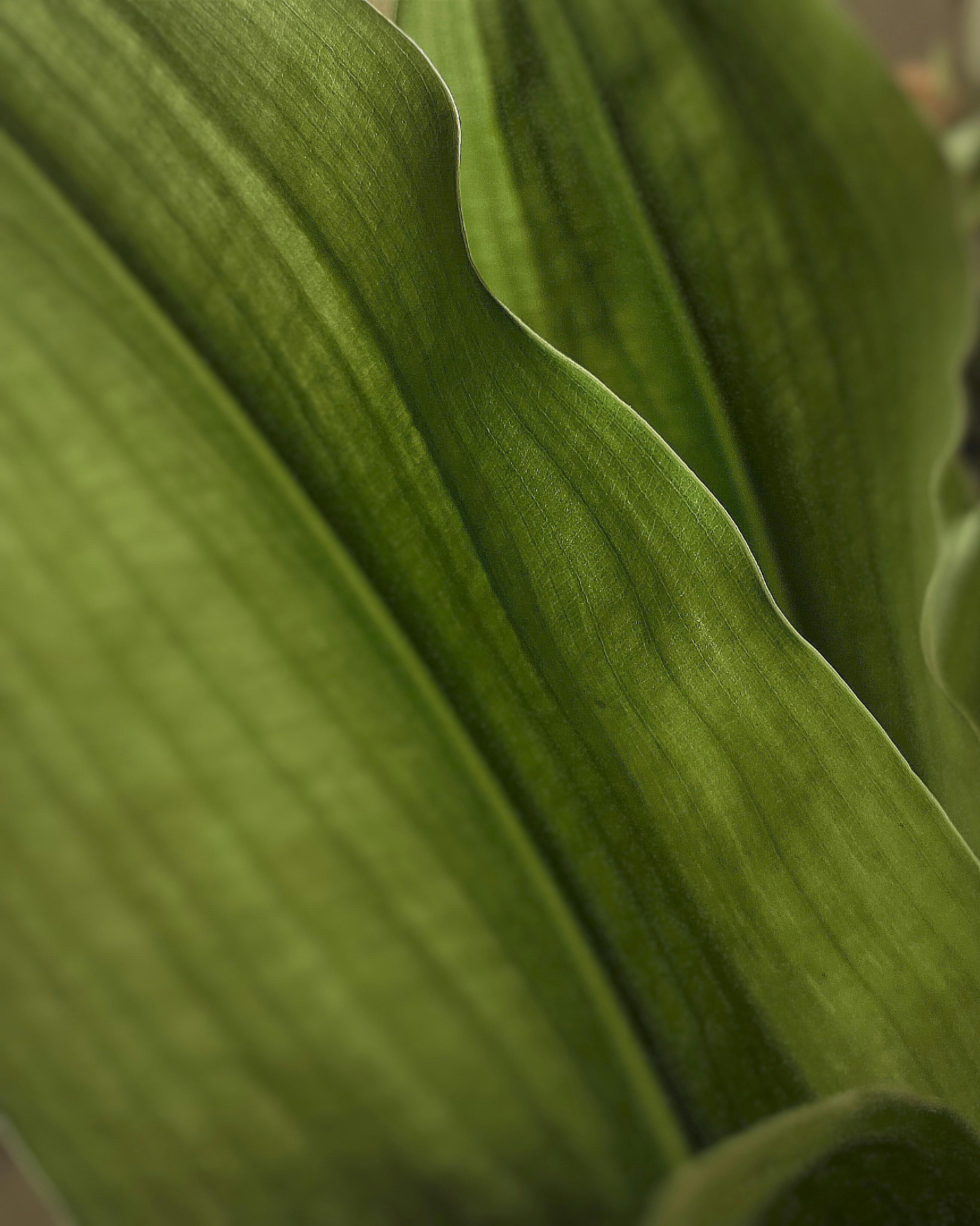 Photo by arif_zack_photography