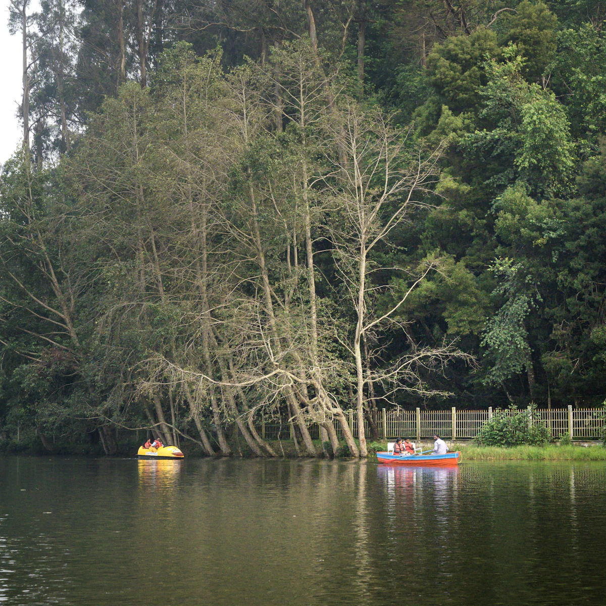 Kodaikanal