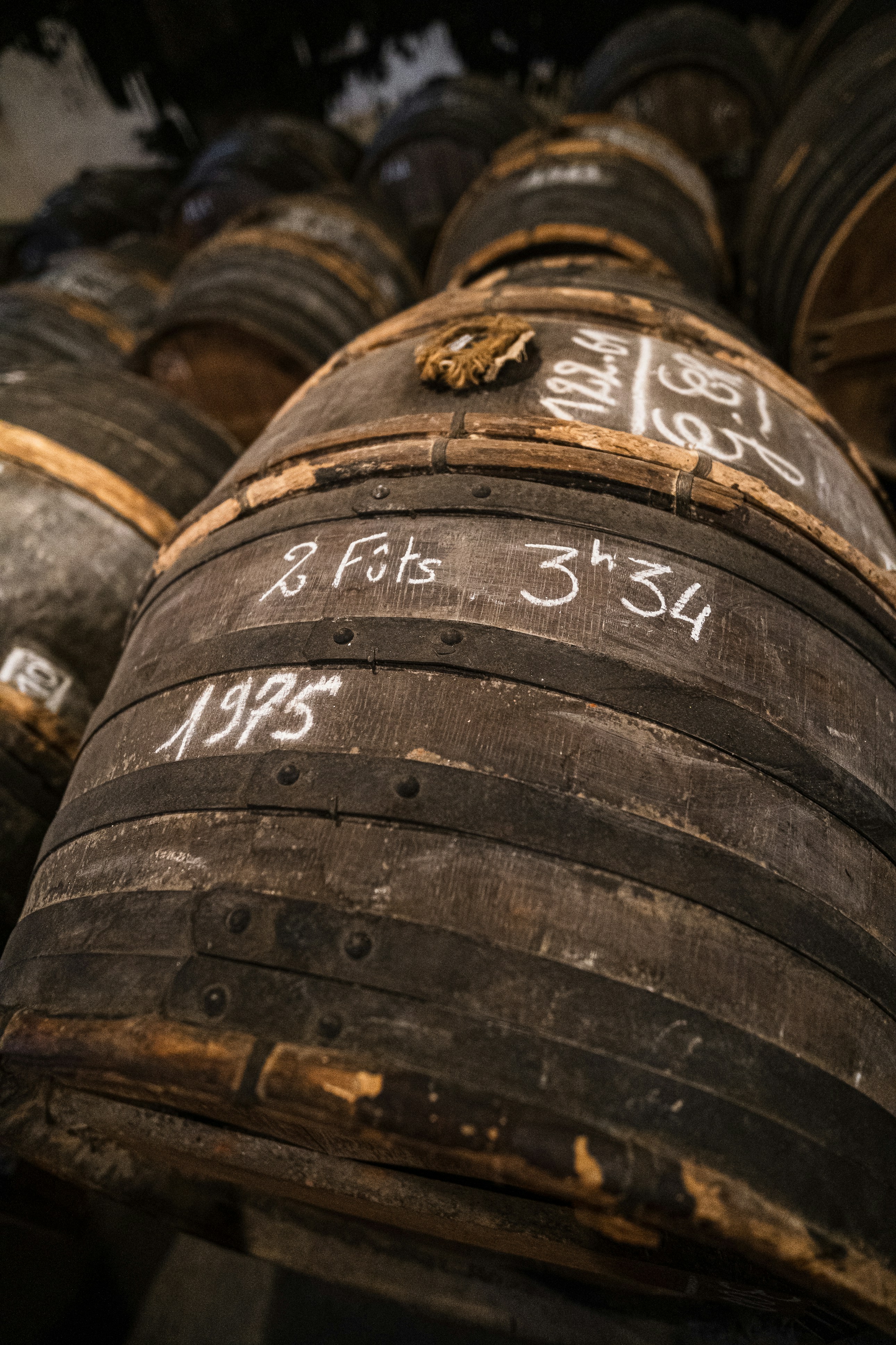 Your Go-To Guide for Wine Tasting in Sonoma