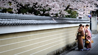 cara urus visa Jepang di Jakarta Medan