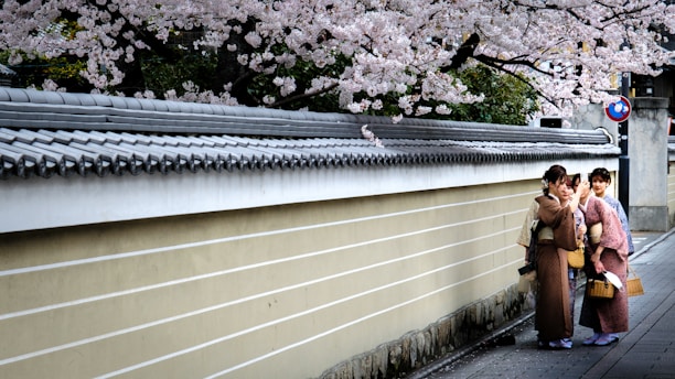 cara urus visa Jepang di Jakarta Medan