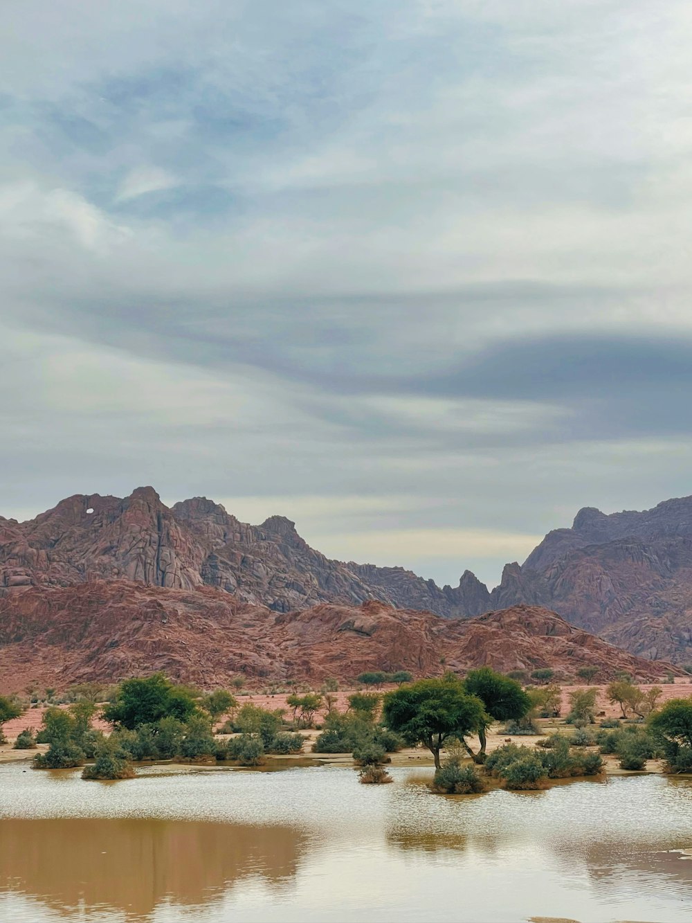 a body of water with trees and mountains in the background