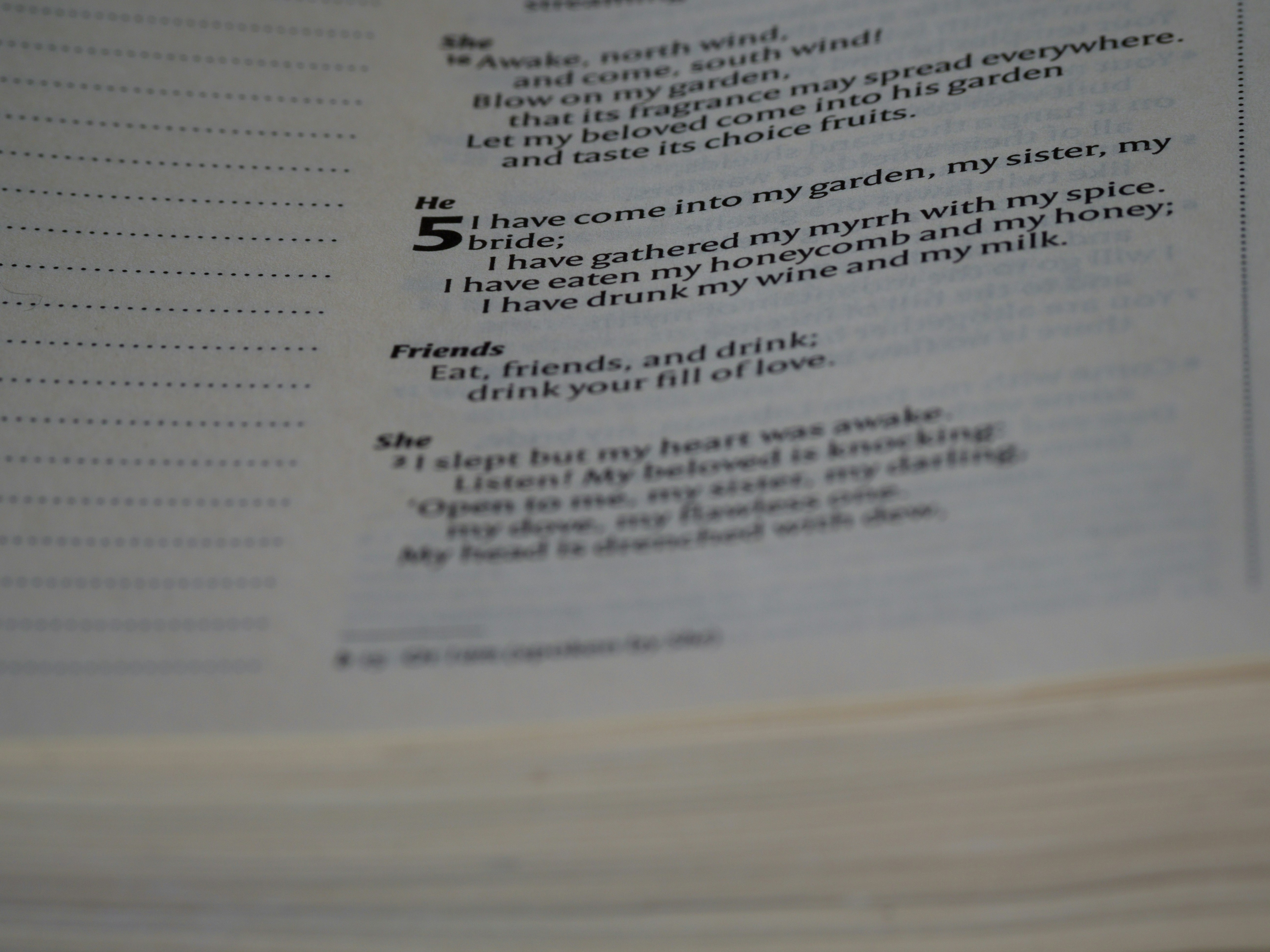 Poetry and Zines Collection