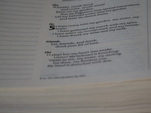 A close-up view of a page from a book containing poetic text with sections labeled 'She,' 'He,' and 'Friends.' The text is printed in clear black font on a white page.