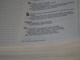 A close-up view of a page from a book containing poetic text with sections labeled 'She,' 'He,' and 'Friends.' The text is printed in clear black font on a white page.