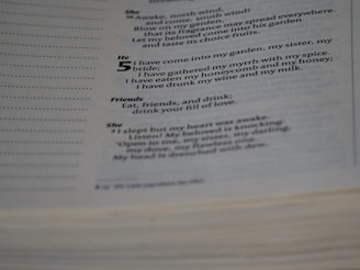 A close-up view of a page from a book containing poetic text with sections labeled 'She,' 'He,' and 'Friends.' The text is printed in clear black font on a white page.
