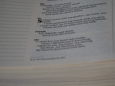 A close-up view of a page from a book containing poetic text with sections labeled 'She,' 'He,' and 'Friends.' The text is printed in clear black font on a white page.