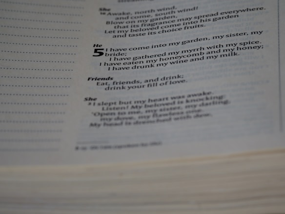 A close-up view of a page from a book containing poetic text with sections labeled 'She,' 'He,' and 'Friends.' The text is printed in clear black font on a white page.