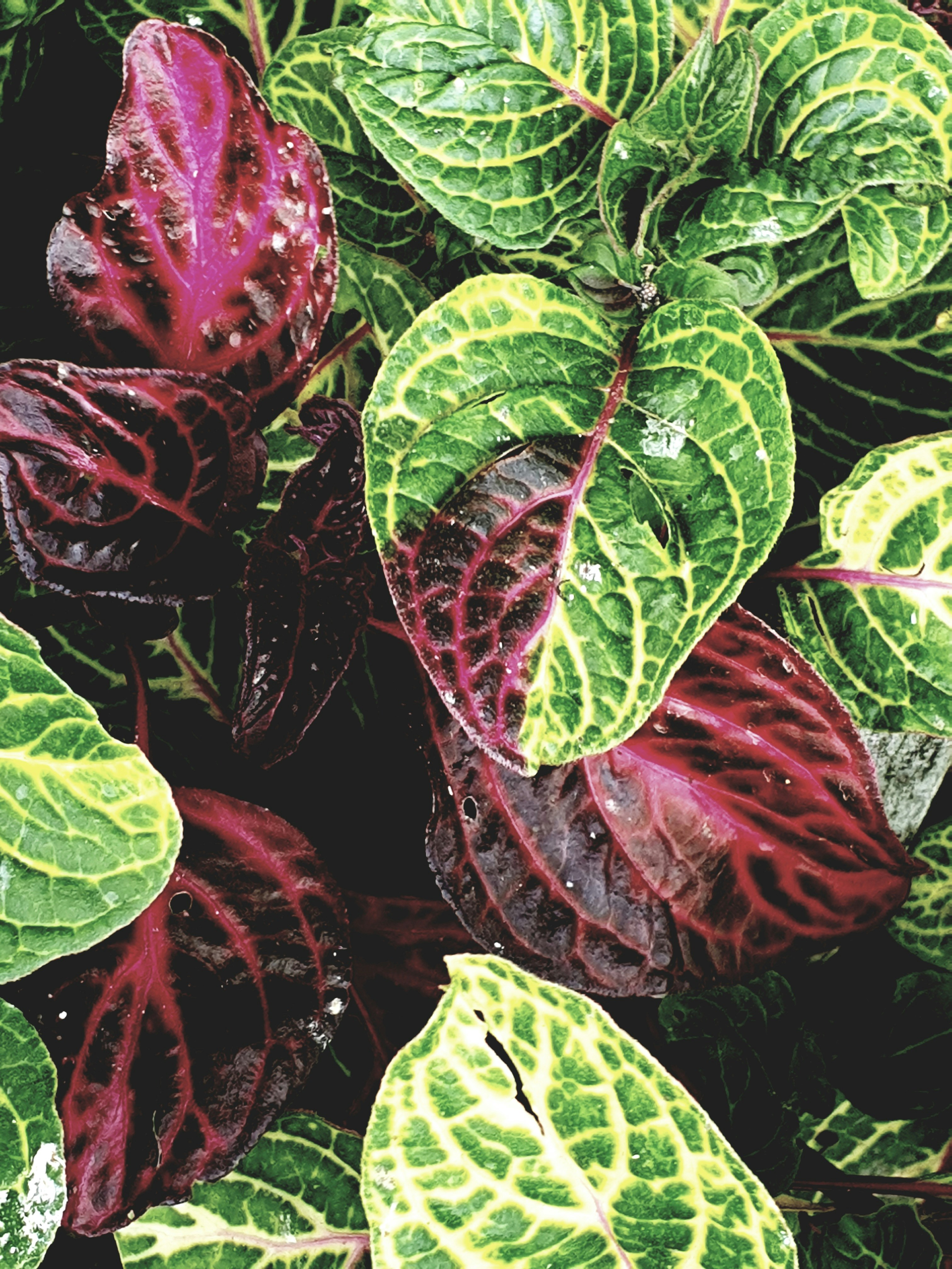 Photo by dhriti_das007