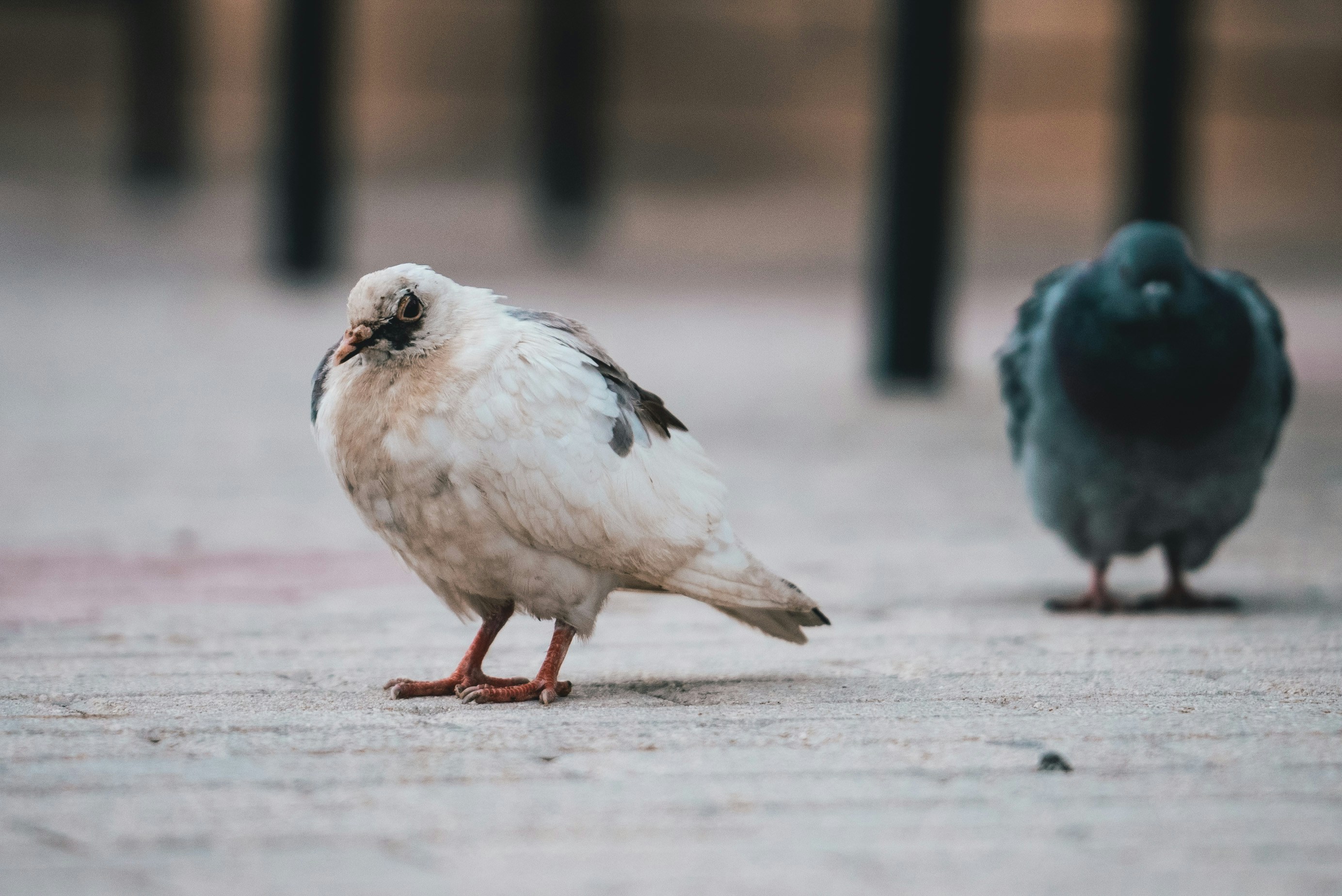 Photo by nejc_soklic