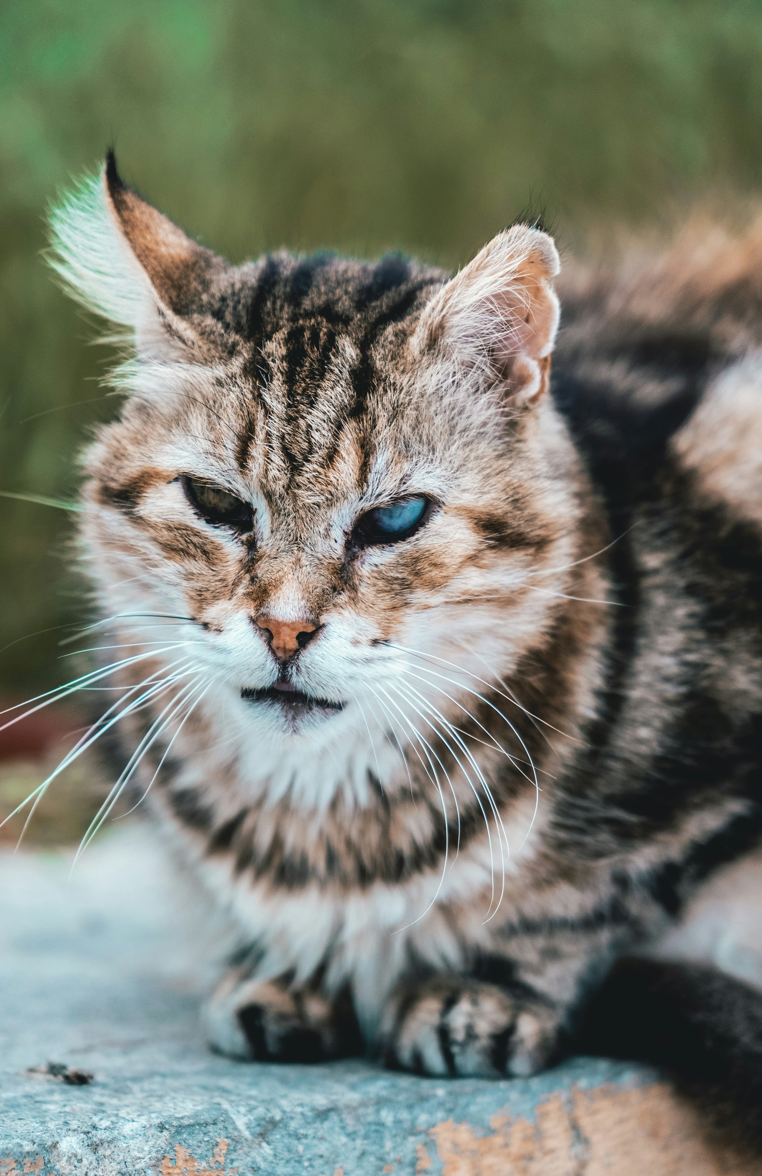 Photo by nejc_soklic