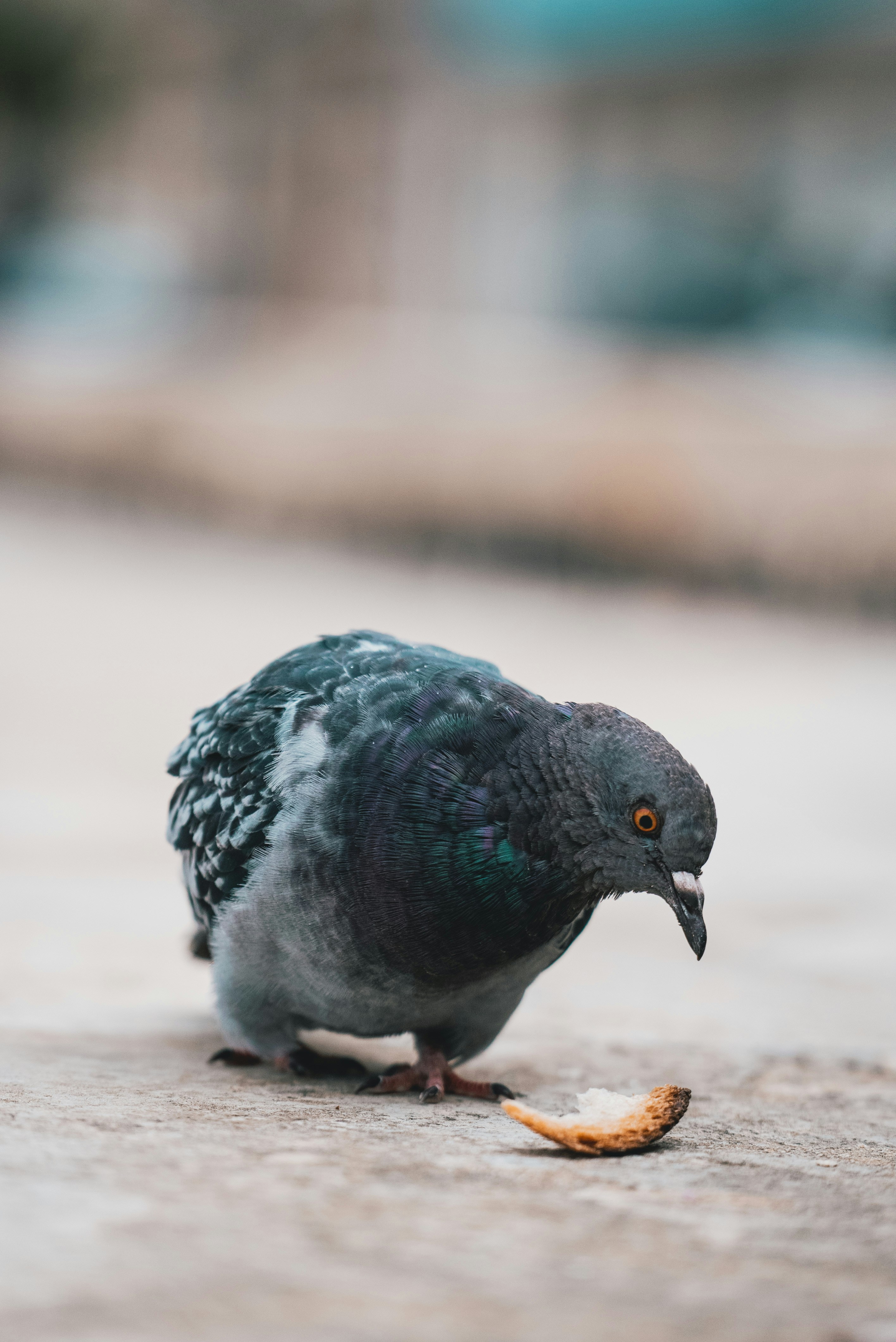 Photo by nejc_soklic