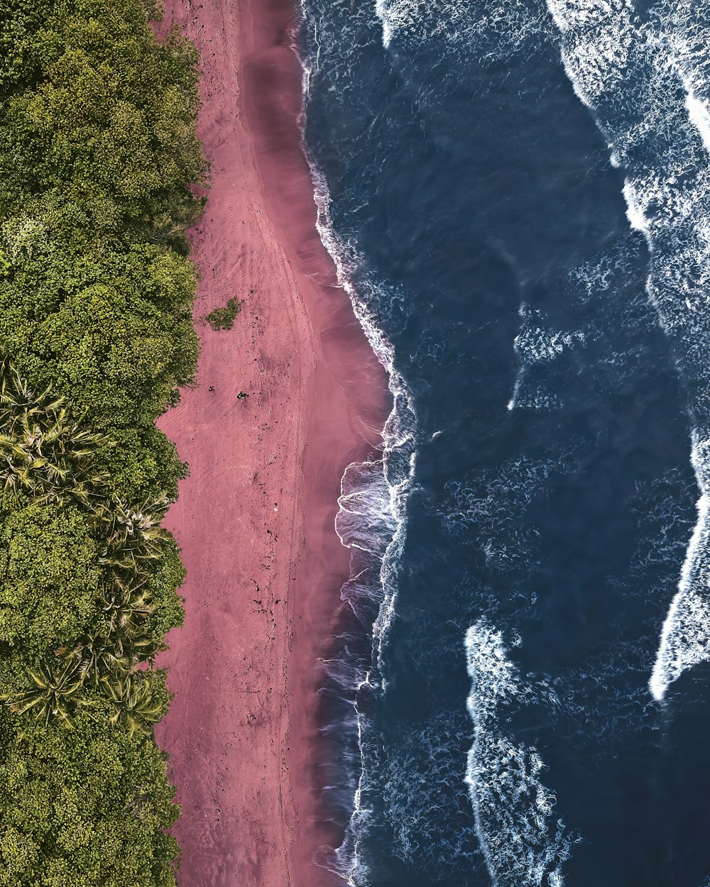 uma estrada com grama e árvores