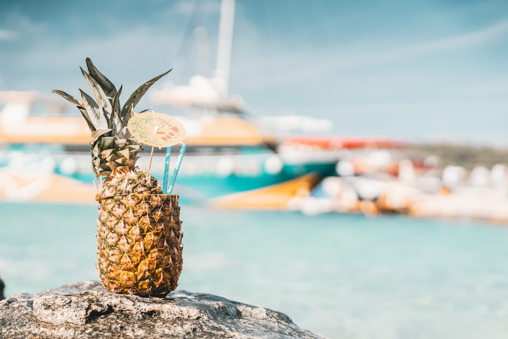 Un ananas sur un rocher