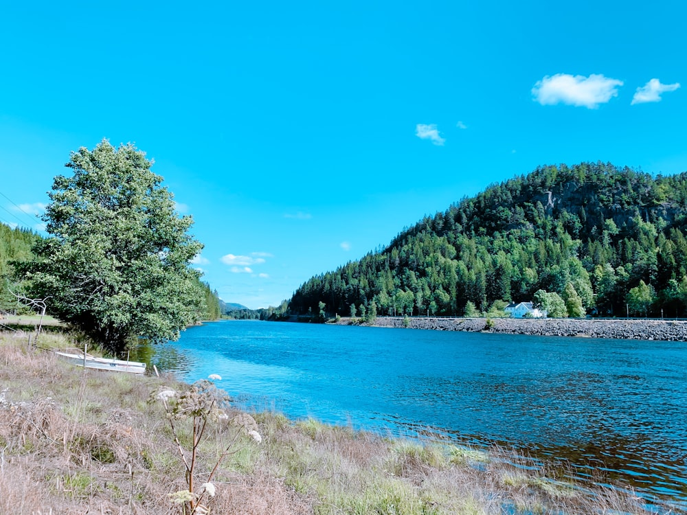 a body of water with trees and hills in the background