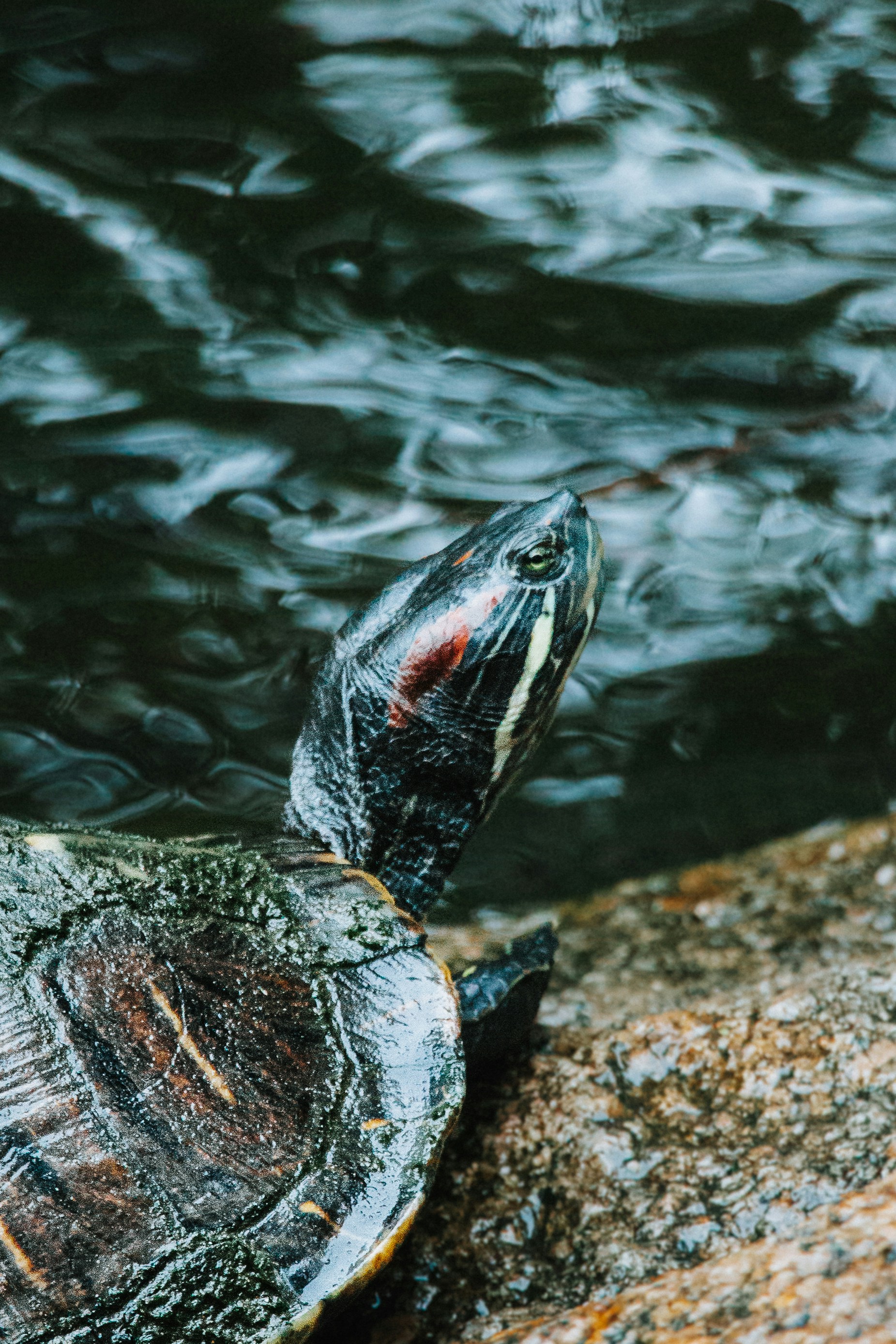 Photo by shreyaantech