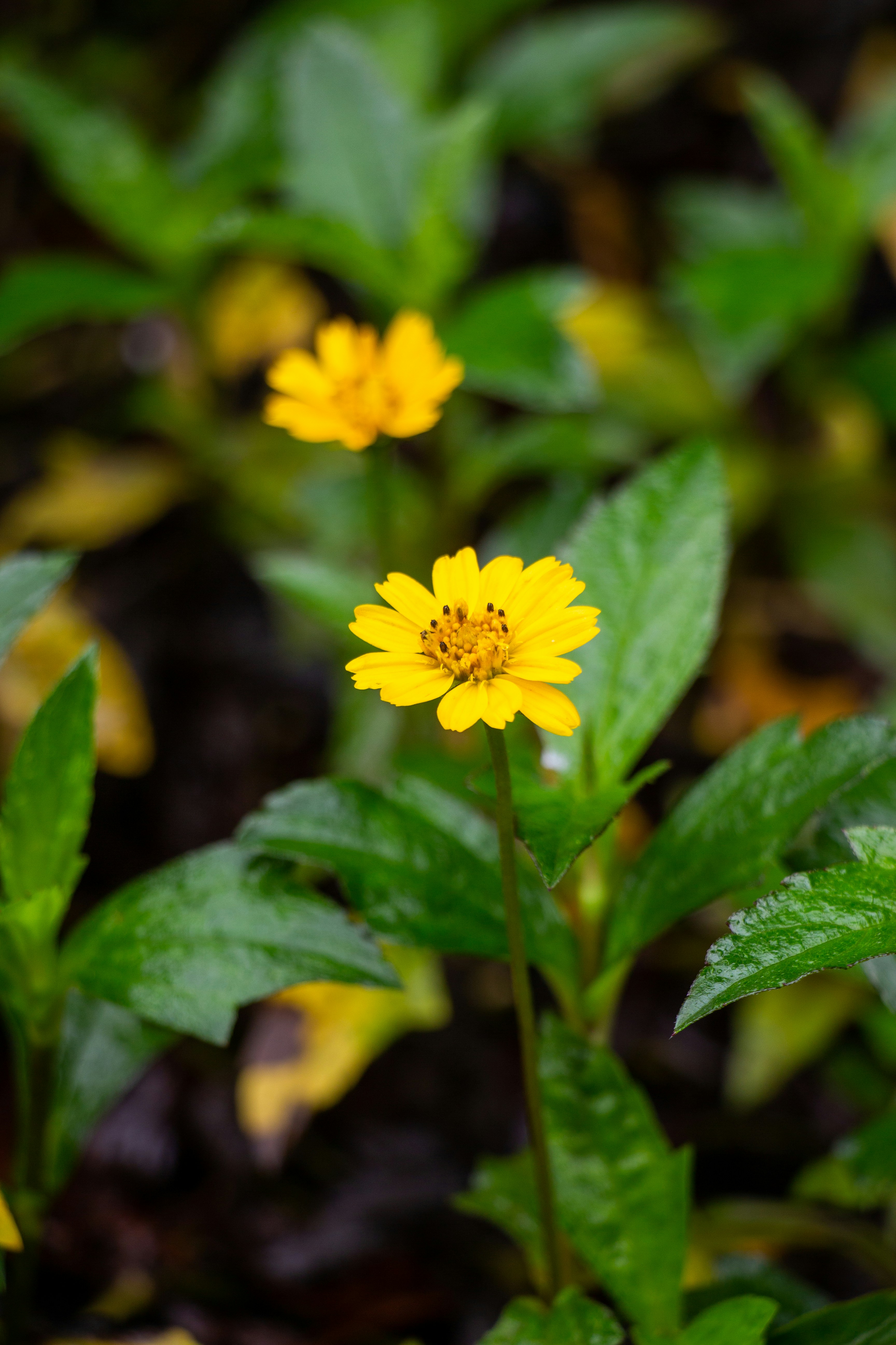 Photo by shreyaantech