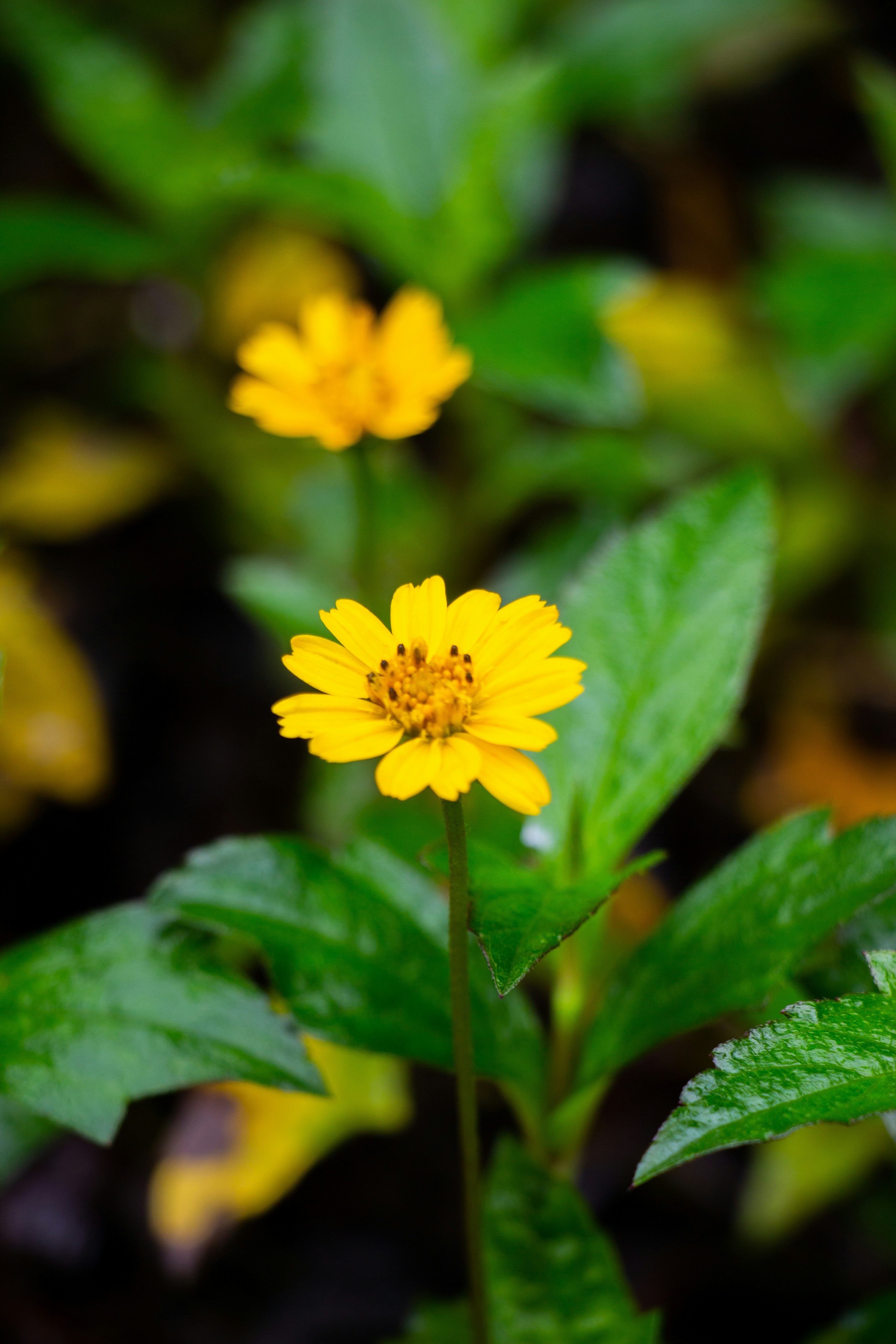 Photo by shreyaantech