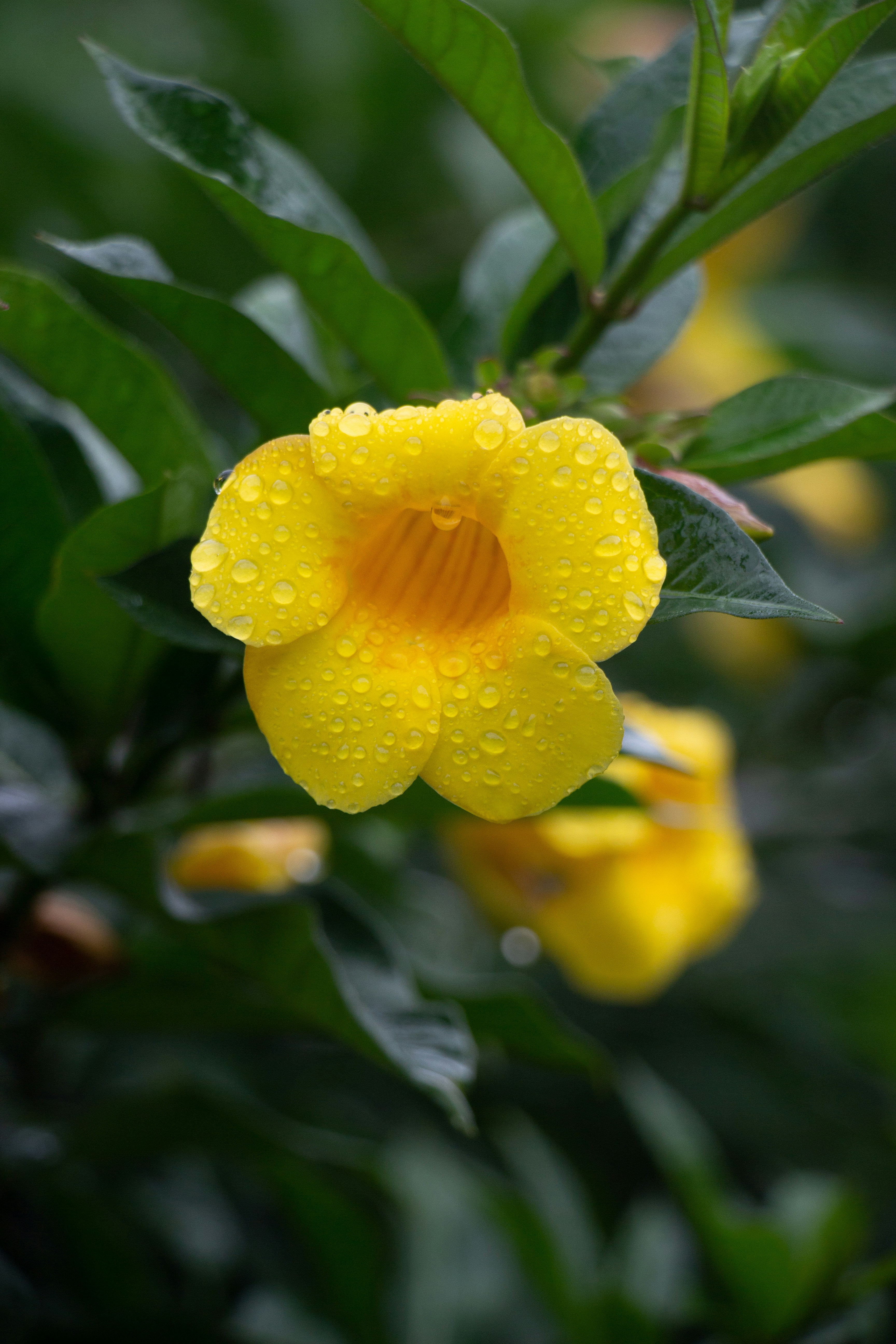 Photo by shreyaantech