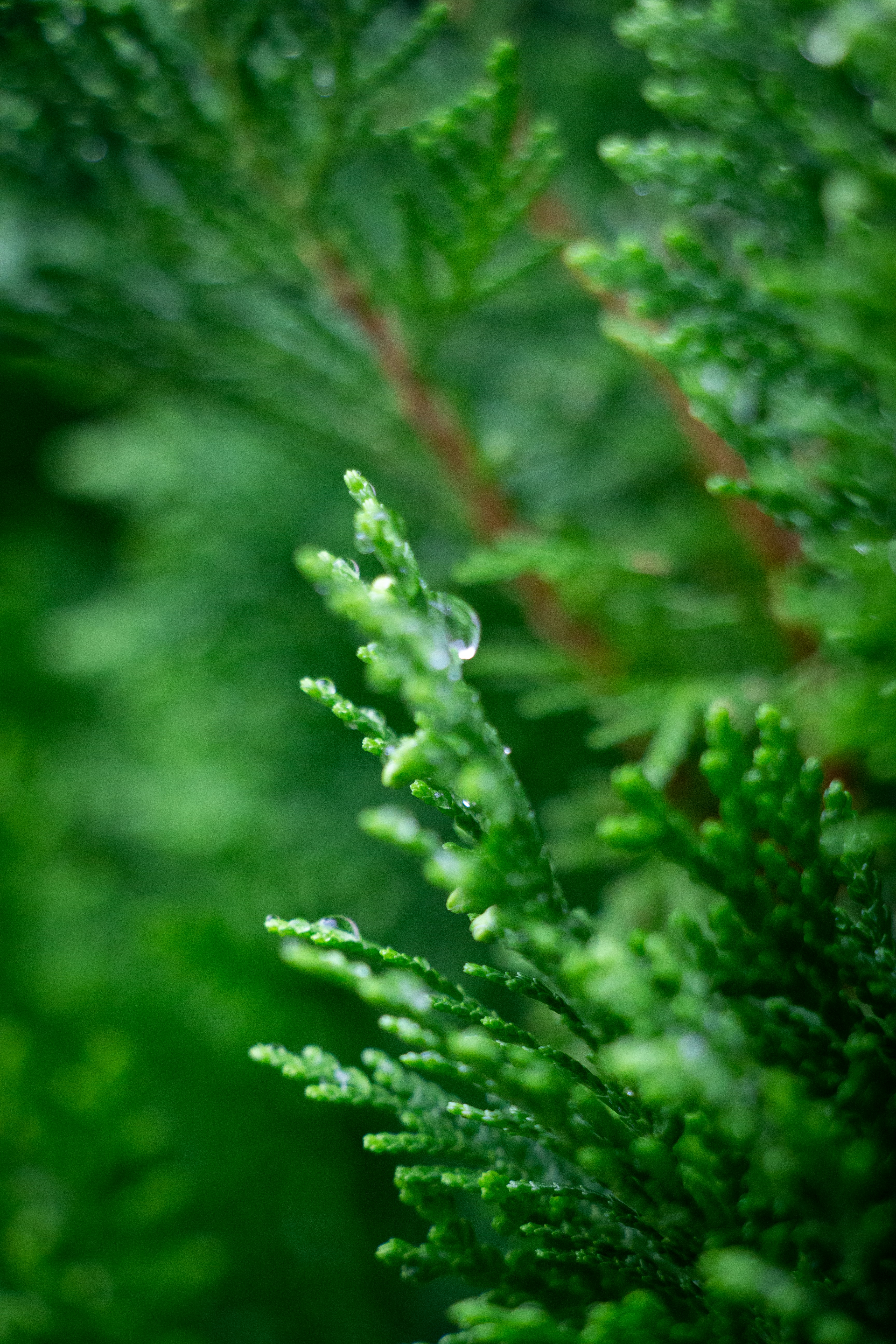 Photo by shreyaantech