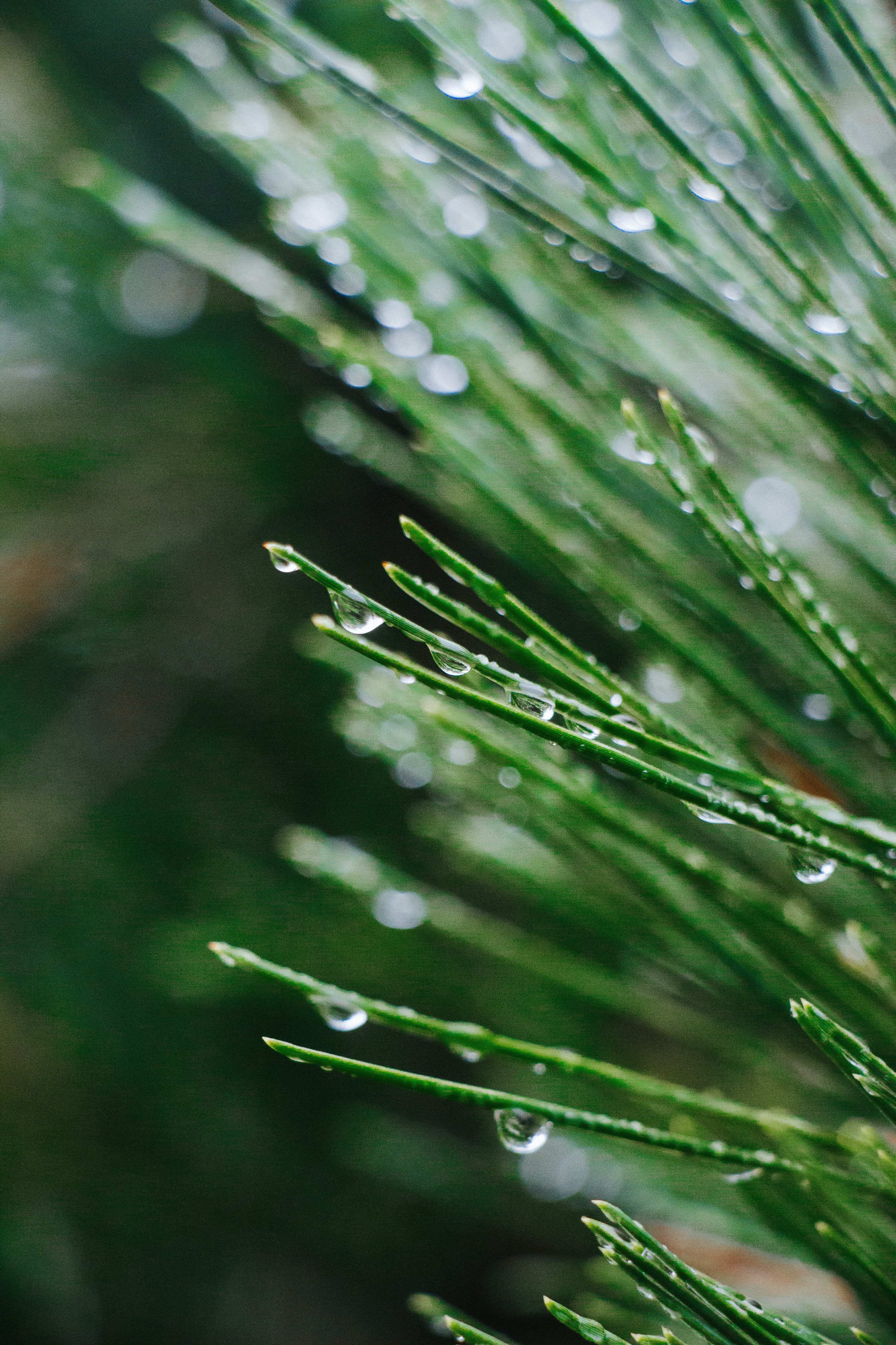 Photo by shreyaantech