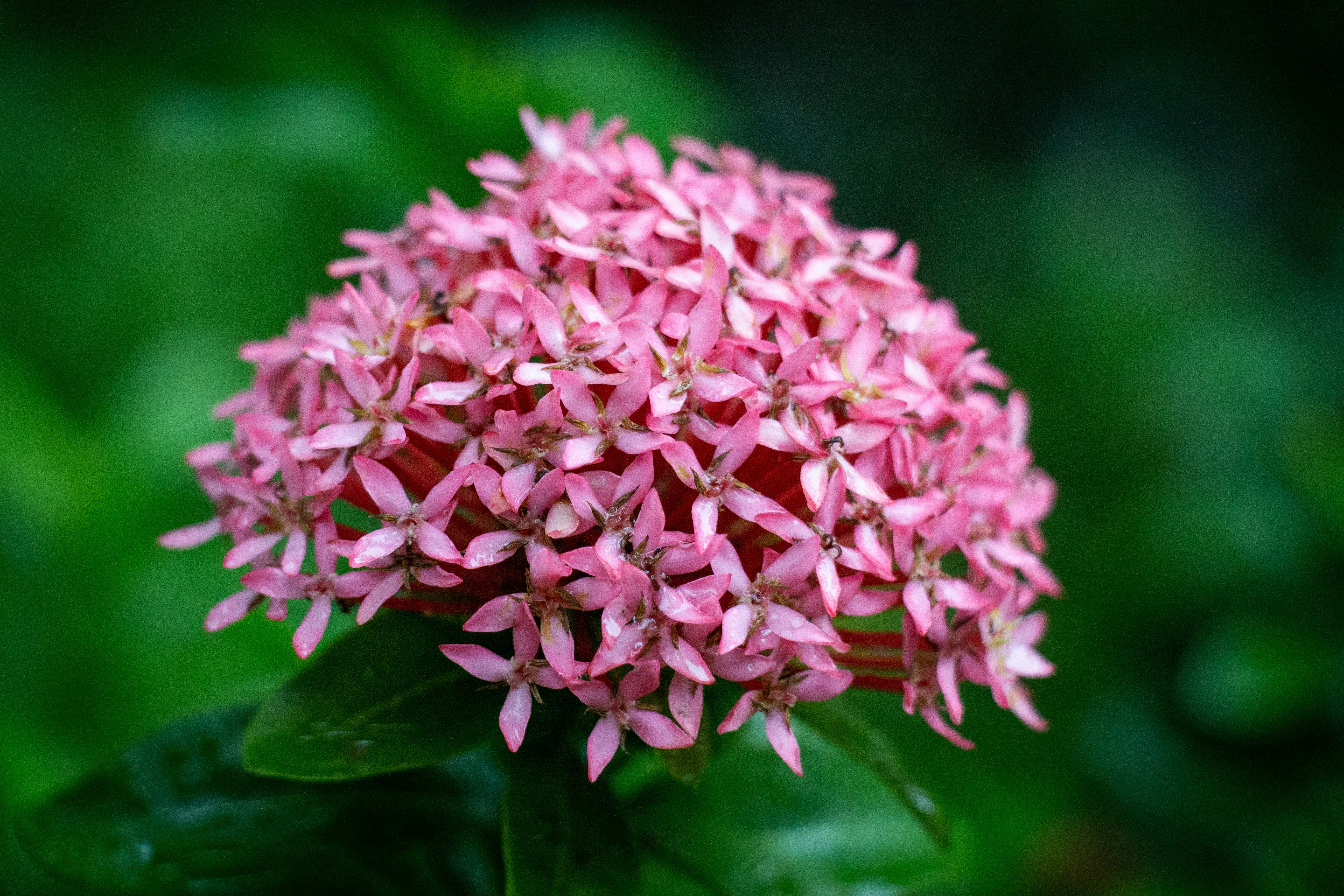 Photo by shreyaantech