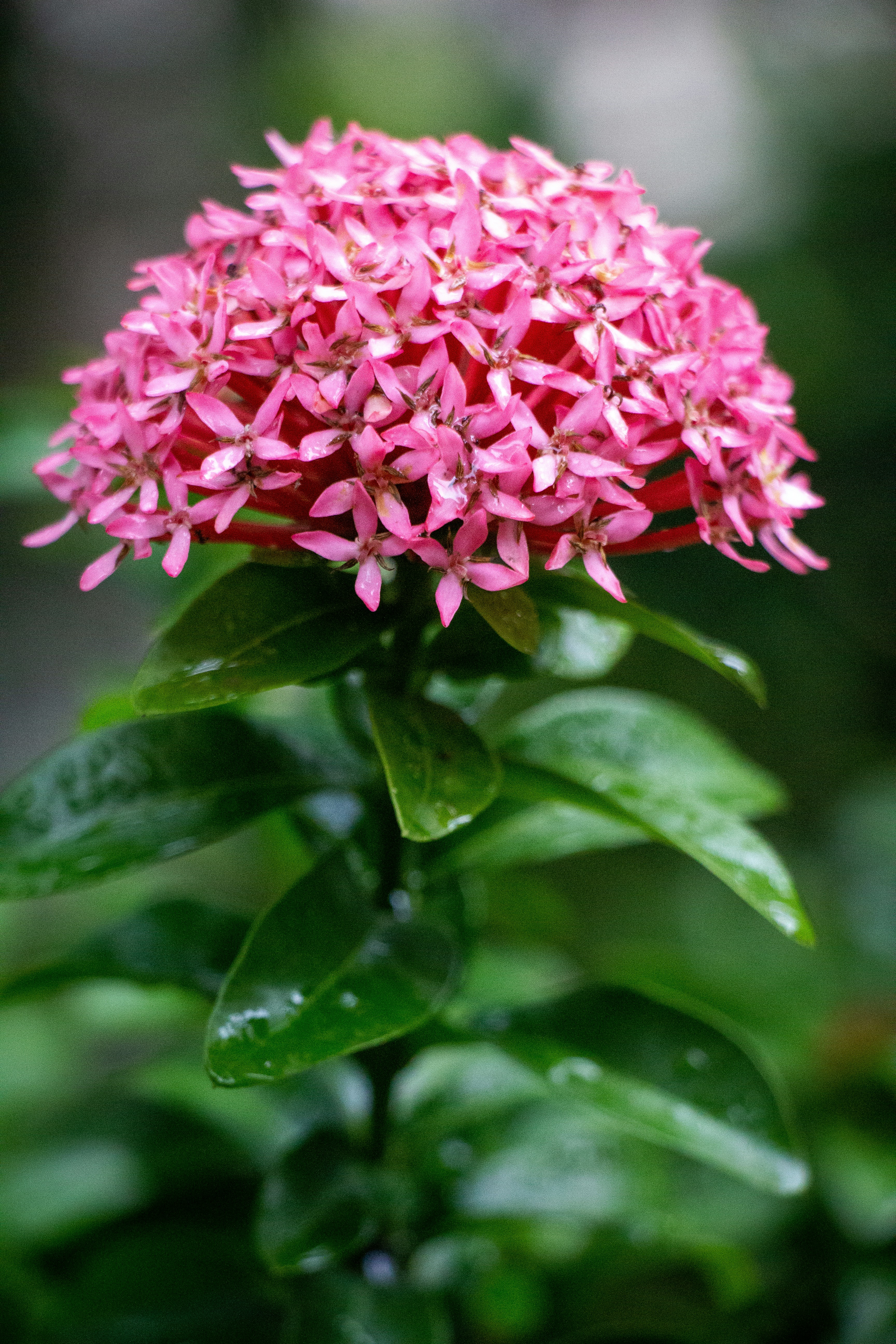 Photo by shreyaantech