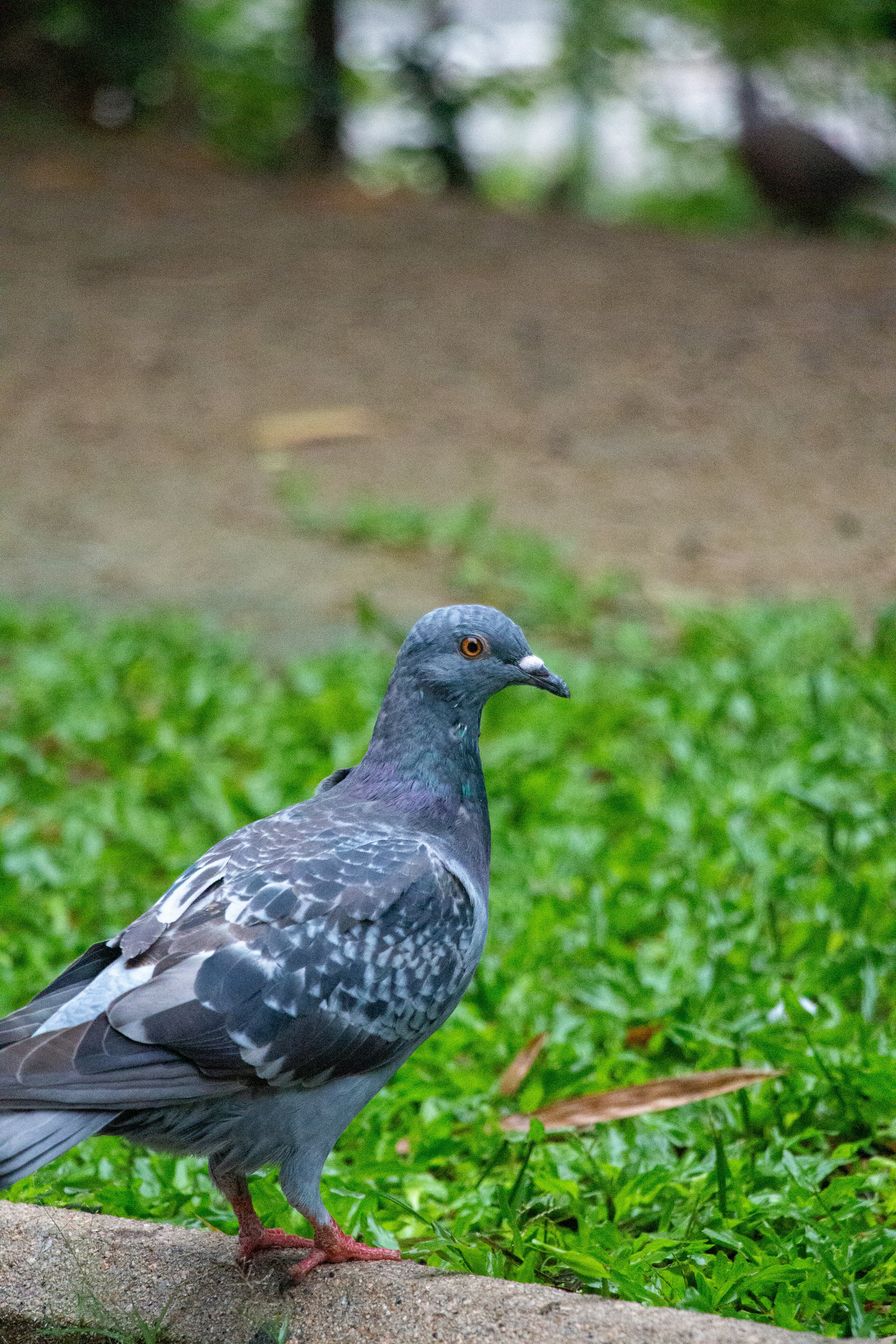 Photo by shreyaantech